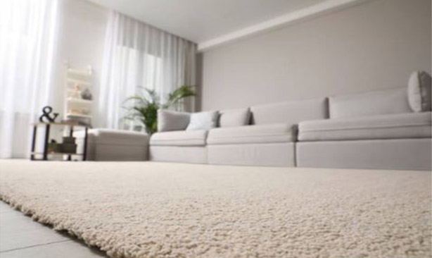 Carpet-Services